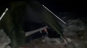 Ночь в зимнем лесу / Ужасный вой неизвестного зверя!