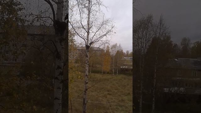 Ворон разогнали, осталась одна смотреть онлайн