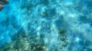 Hurghada  Egypt  The Red Sea  Hotel La Pasha