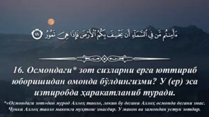 Алишер кори #quran #hafizquran #taravih #surahalmulk  Мулк сураси