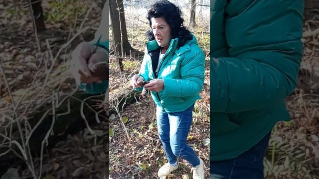 за час полтора ведра грибов смотреть онлайн