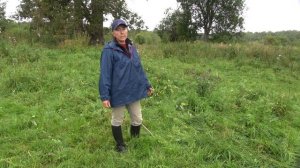 В каком возрасте и чему мы учим жеребят