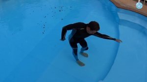 Плавание Кролем на Груди: Простой Прием как Делать Пронос Руки над водой Удобно!