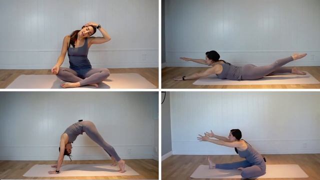 Introduction to Rehab Flows by Flowy Yogi with Noelle