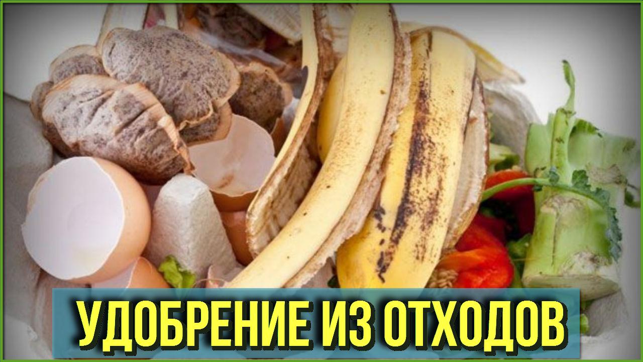 Готовимся к дачному сезону УДОБРЕНИЕ ИЗ ОТХОДОВ для повышения ПЛОДОРОДИЯ ПОЧВЫ Дачные Советы