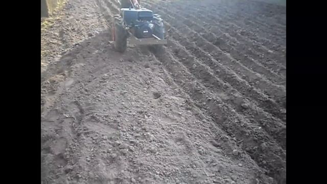 Посадка картофеля двухрядным окучником с дополнительным третьим корпусом по средине смотреть онлайн