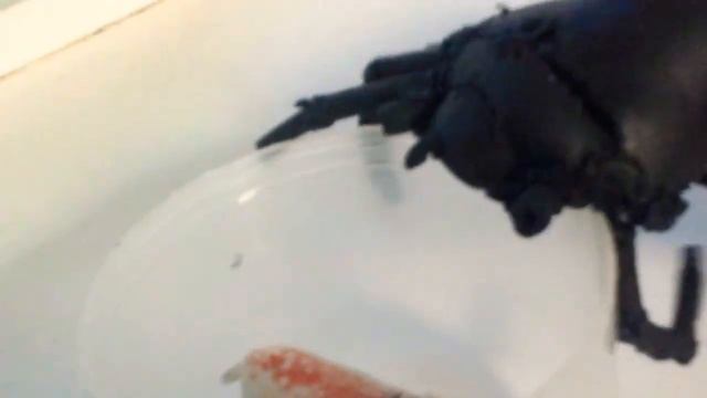 Сыпа в первый раз в зоопарке!! смотреть онлайн