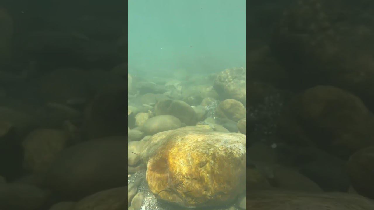 Идем ко дну… Солох-аул. Река Шахе. #сочи #шахе #солох-аул смотреть онлайн