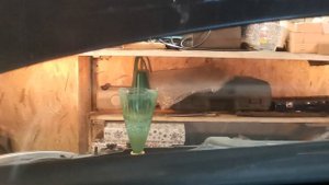 i30 замена антифриза