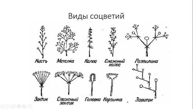 Урок №14 