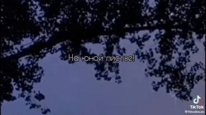 футаж белая ночь