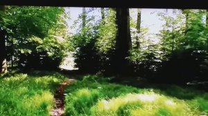 джем красота природы танго маленький цветок.