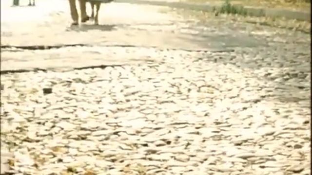 Булат Окуджава. Часовые любви (Покровские ворота).