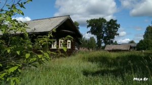 Будринские памятники природы. Подосиновский район, Кировская область, июль 2020