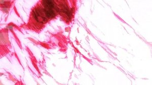 Saber Alter Excalibur Morgan [4K 60fps]