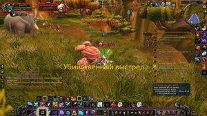 World of Warcraft - Ночной эльф охотник #99: Прыготрон-4000