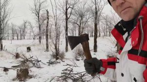 Грибы в декабре. Уральск. Казахстан.  Mushrooms in December. Uralsk. Kazakhstan.