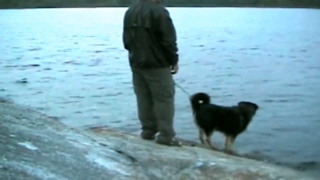 Очень эпичная рыбалка с собакой смотреть онлайн