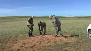 Охота на сурка. Оренбургская область