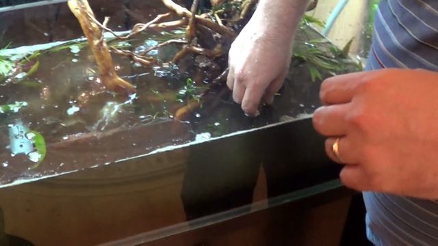 Запуск 120 литрового аквариума. Часть 4. Заливаем воду. Сажаем растения смотреть онлайн