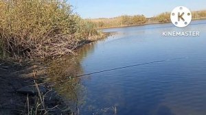 15.10.2022 Рыбалка в октябре на карася.#влог#пойма#заплавное#рыбалка#ерик#караси#осень