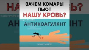 Зачем комары пьют нашу кровь?