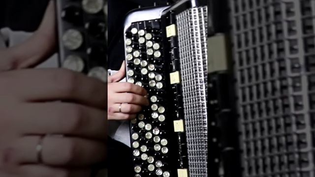 Ягода Малинка #ягодамалинка #хабиб #баян #баянист #топбаянист #accordion #набаяне #accordionmusic