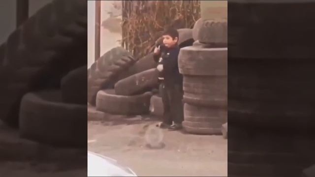 гангста 2024
