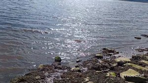 Берег Кольского залива. Мурманск. 16.05.2023.