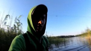 РЫБАЛКА в КАМЫШАХ. КАРАСЬ на ПОПЛАВОК. ПРИГОТОВЛЕНИЕ КАРАСЯ.