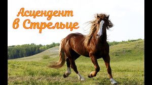 Асцендент в Стрельце. Ваши фото ♐
