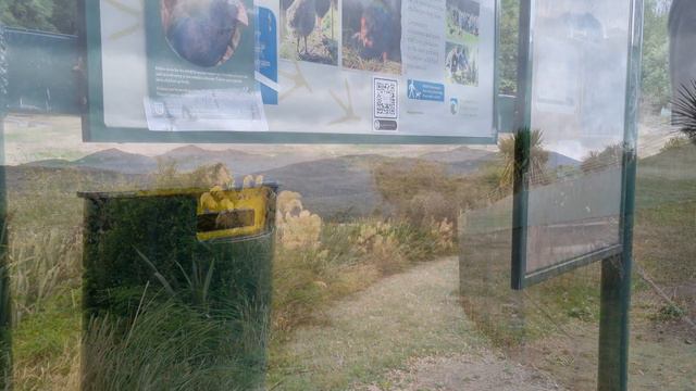 Te Anau, South Island, New Zealand/ Lake & street scene/ Bird Sanctuary/ Glow worm cave tour смотреть онлайн