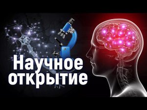 Как ритуалы Ислама стимулируют мозг и защищают от негатива.