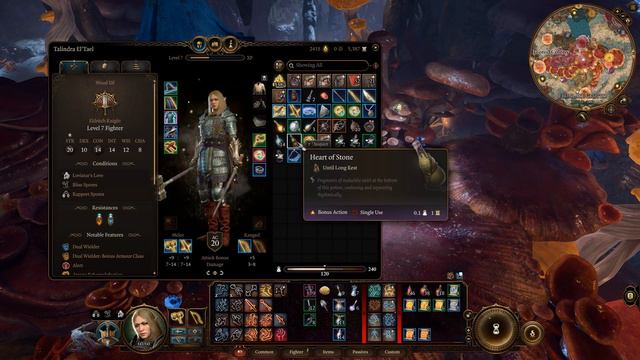 Baldur's Gate 3 | Eldritch Knight | An Elven El'Tael's Journey (Act 2, Part 6) смотреть онлайн