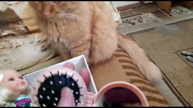 3 новых наряда, 2 новые куколки и подготовка к Рождеству смотреть онлайн