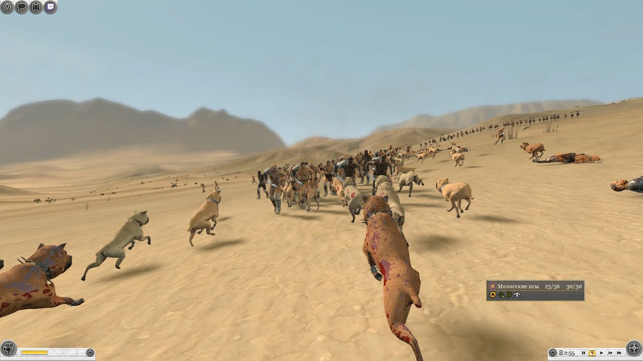 Боевые собаки людоеды против гладиаторов. смотреть онлайн