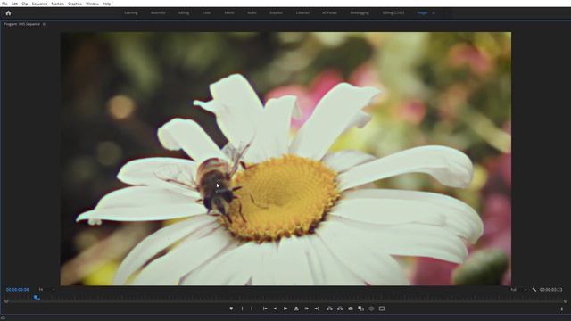 How to Get the VHS Look in Premiere Pro | Video Editing Tips смотреть онлайн