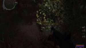 S.T.A.L.K.E.R Путь во Мгле № 4(Дезертир где ты?)