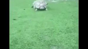 Есть друзья а для них у друзей нет выходных.
