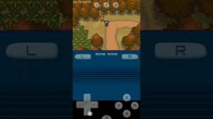 How to: Activate and use Hacks/Cheats on DraStiC DS Emulator(Android)