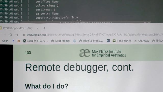 Massive Online Data Collection with Dallinger - Debugging and Troubleshooting смотреть онлайн