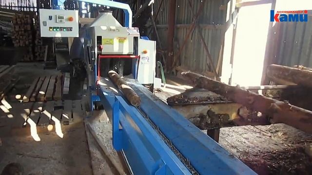 Бревнопильный станок Walter TD-350 KBA | ПИЛЕНИЕ ТОНКОМЕРА В ЕКАТЕРИНБУРГЕ