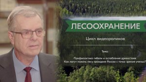 Селиховкин А. В.: защита леса – это..? Основные проблемы в области защиты лесов? «Лесоохранение»