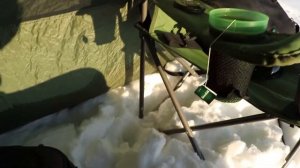Карповая палатка MAVERICK SHELTER. Как ее можно использовать, если ты не рыбак - просто для пикника