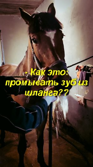 - Как это: промывать зуб из шланга??
- А вот так это! Раз прописали, значит, берем и делаем!