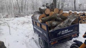 Муравей 4т Вайпер зубр китайский муравеи,гузовой трцикл!