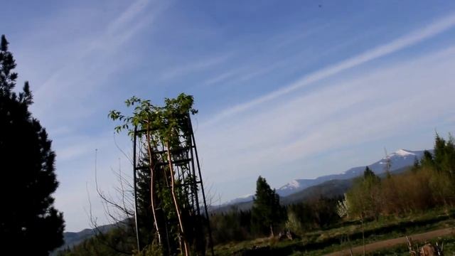 группа "Дверь в лето" смотреть онлайн