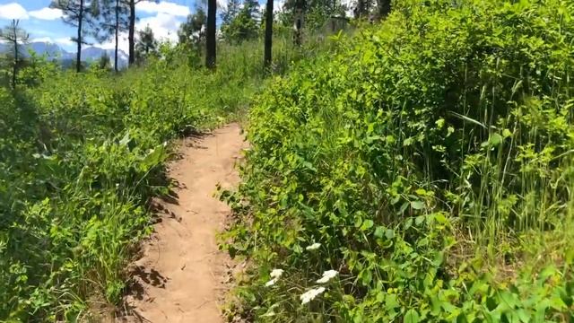 ИДЕАЛЬНЫЙ ШТАТ В АМЕРИКЕ ДЛЯ ЛЮБИТЕЛЕЙ ПРИРОДЫ смотреть онлайн