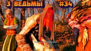 ➤ 3 ВЕДЬМЫ ➤ Ведьмак 3 Дикая охота Прохождение игры на пк на Русском #34