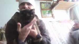 Пародия на цыганку.